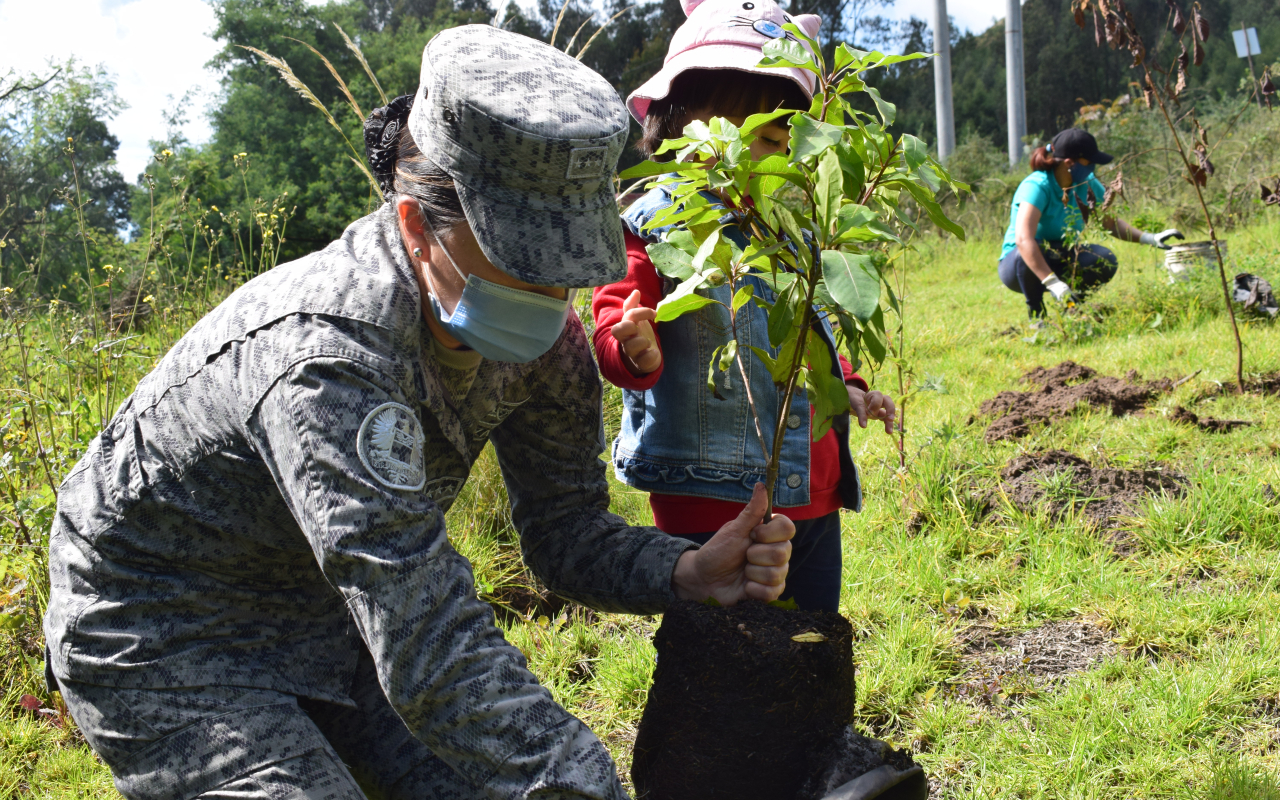Cerca de 300 árboles fueron plantados por su Fuerza Aérea Colombiana