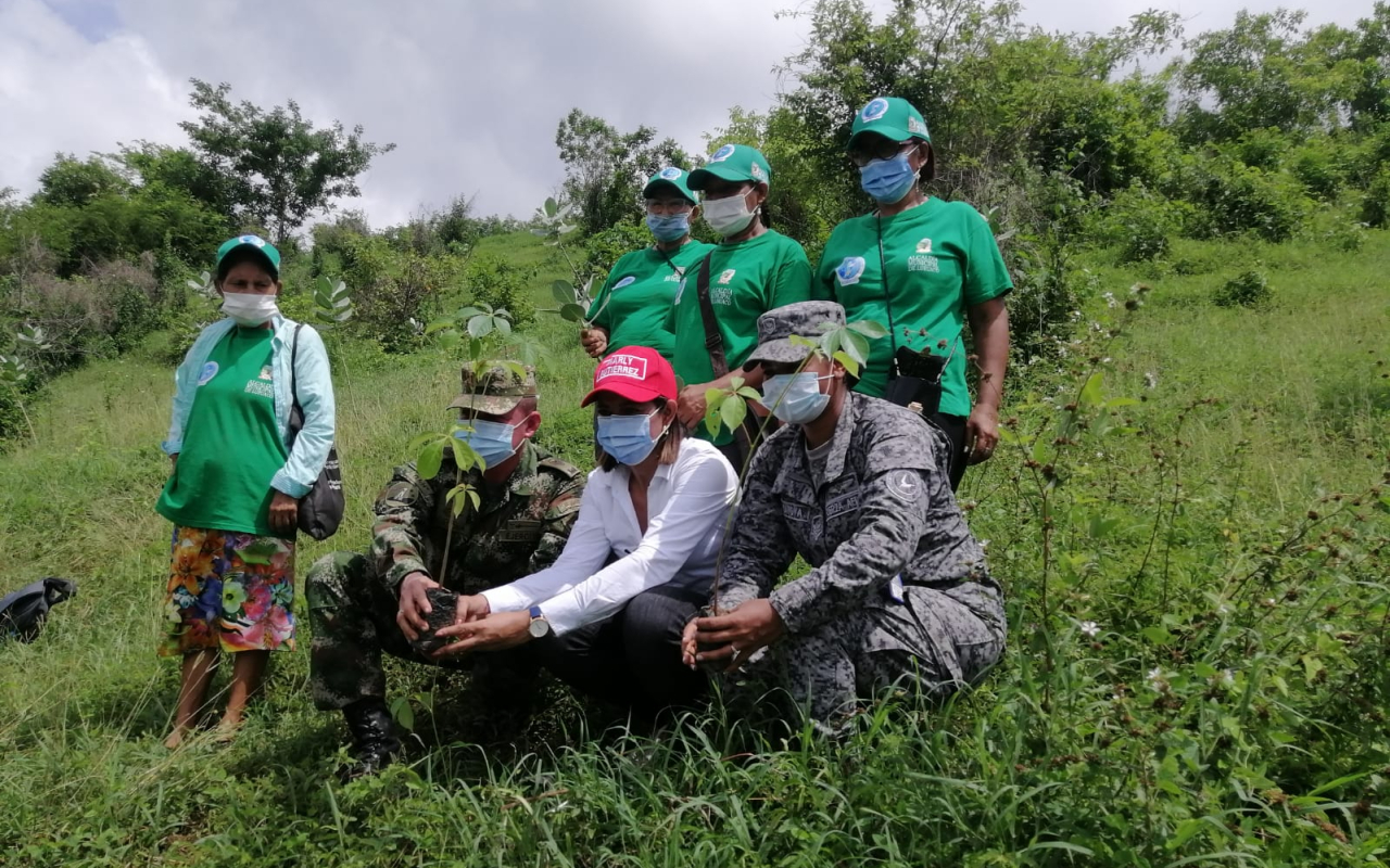 Su Fuerza Aérea Colombiana aporta a la arborización en Luruaco