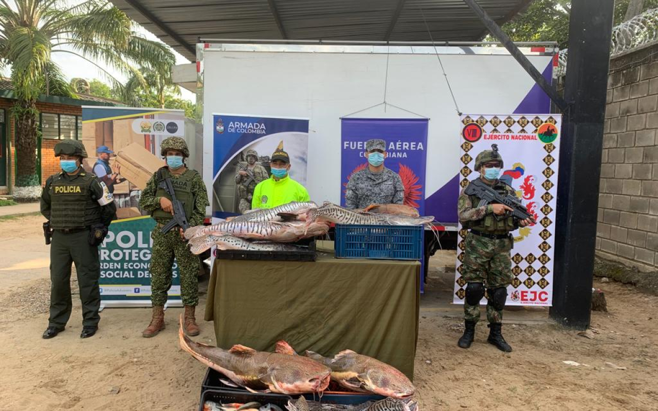 Golpe a banda dedica al contrabando de alimentos en Arauca