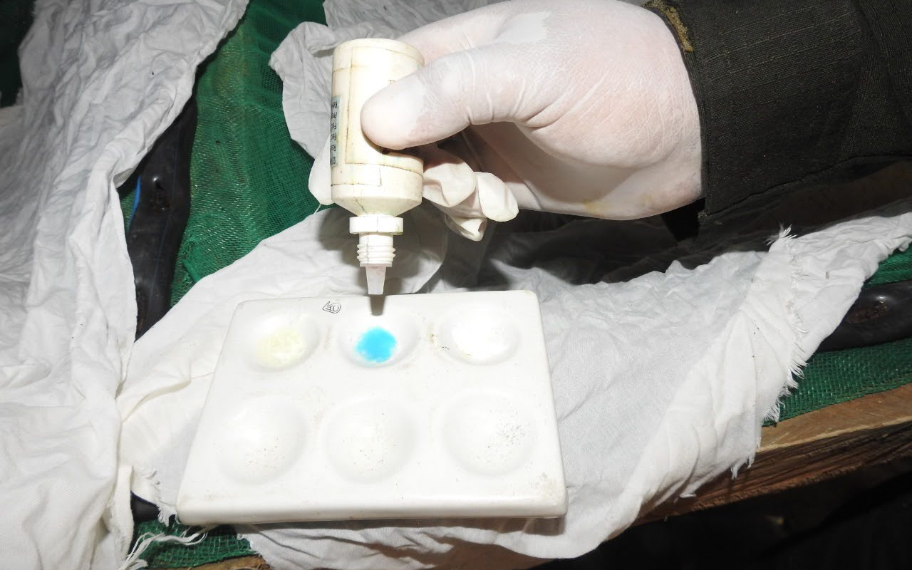 Continúan las afectaciones a la economía ilícita en Norte de Santander