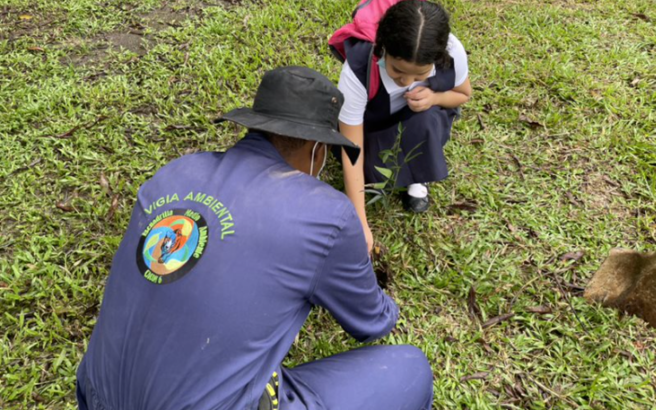 Jornada de reforestación fue liderada por su Fuerza Aérea en  Caquetá