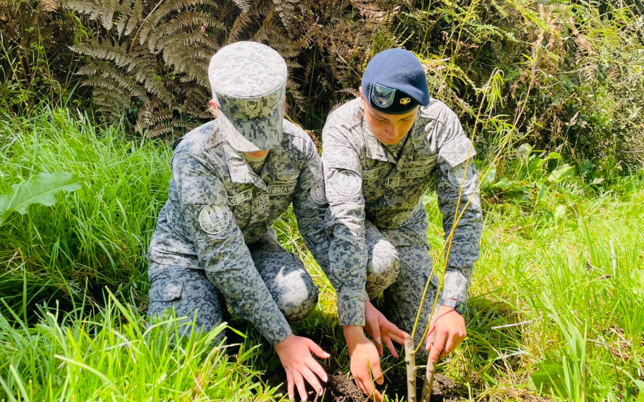145 nuevos árboles fueron plantados por su Fuerza Aérea  Colombiana