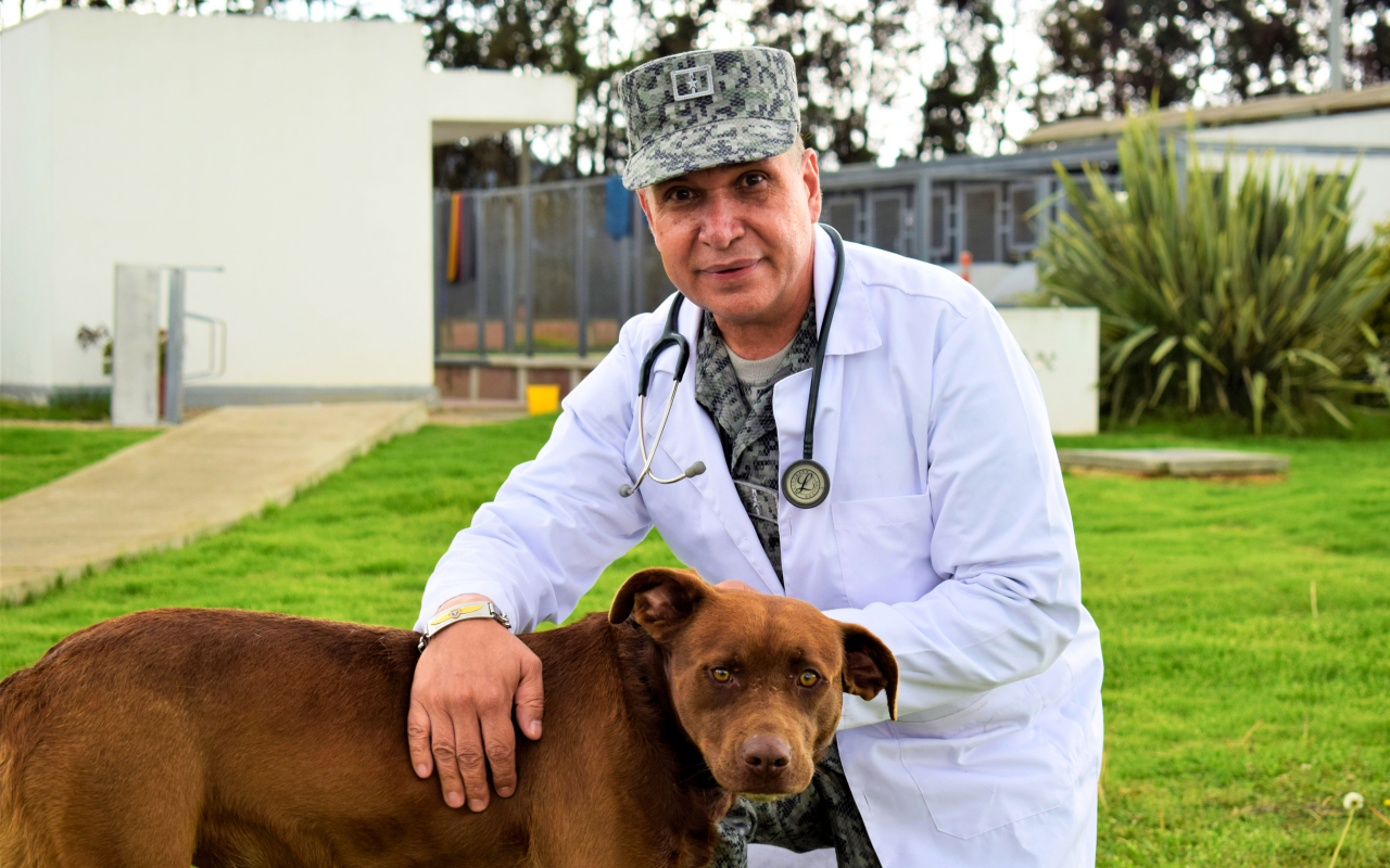 VETERINARIO