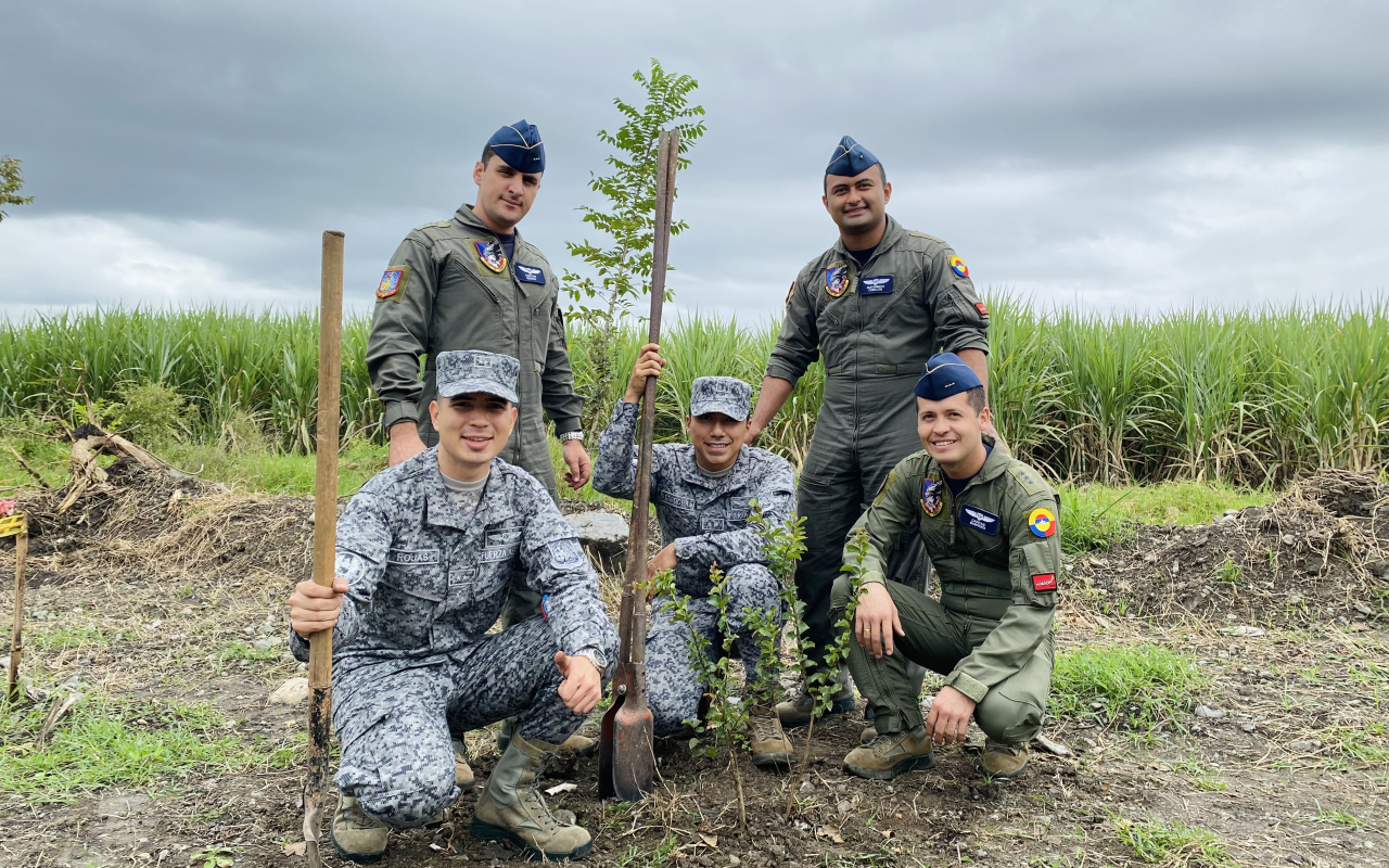 Continúan las jornadas de siembra en el Valle del Cauca 