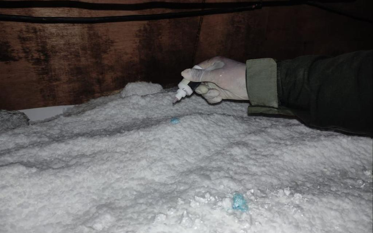 Laboratorio de clorhidrato de cocaína fue inutilizado en  Putumayo