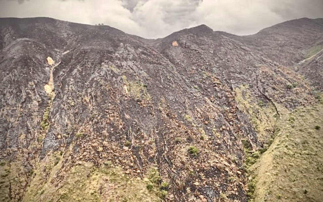 Extinguido incendio forestal en Palermo, Huila