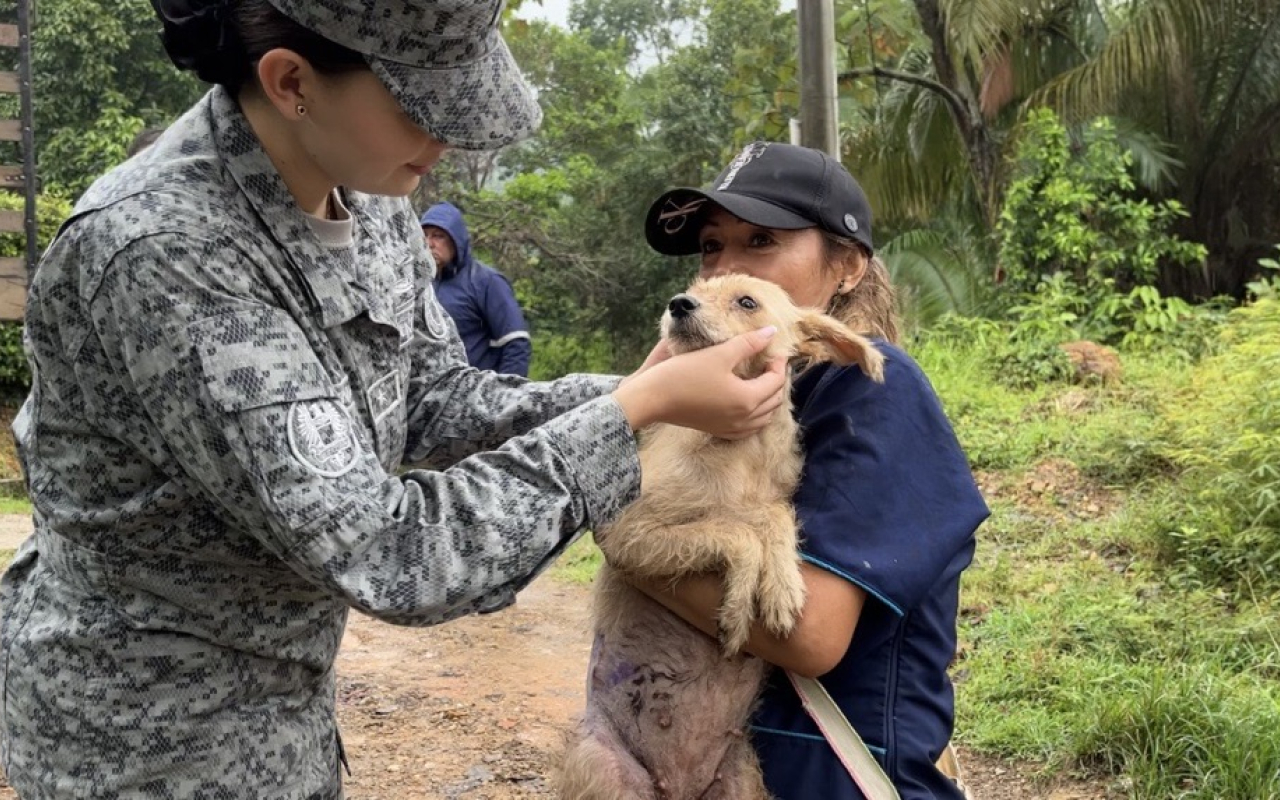 Mascotas rescatadas en Melgar, reciben alimentos