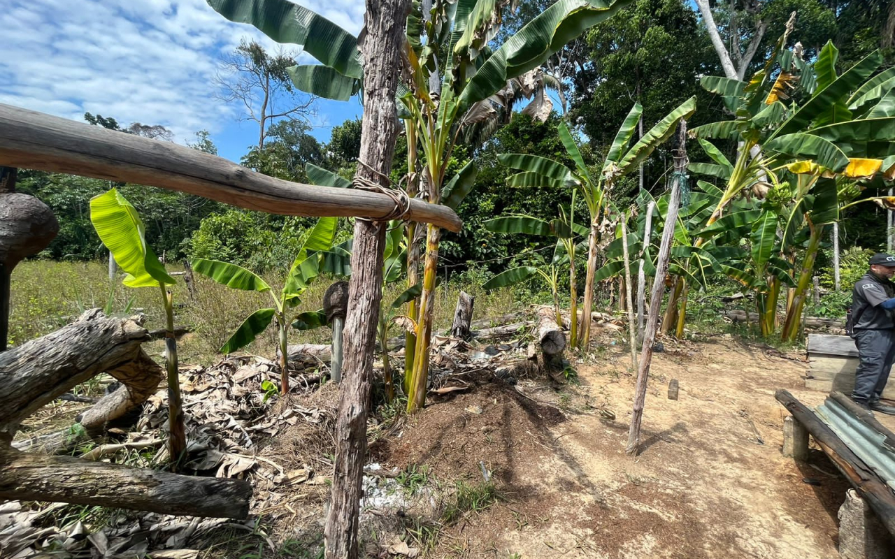 Recuperada zona de reserva natural en Vichada
