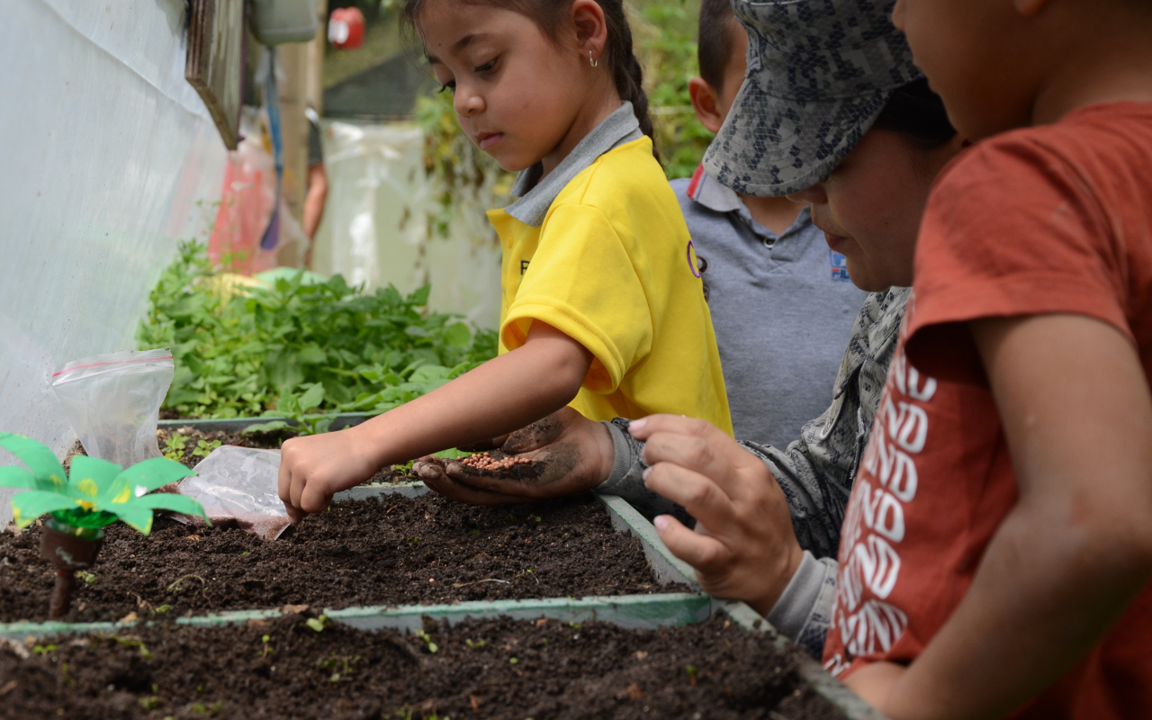 Desde la educación, su Fuerza Aérea Colombiana promueve la protección del medio ambiente