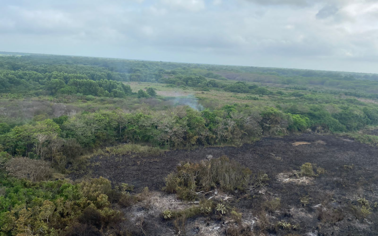 Se mantiene misión de extinción de incendio en el Parque Isla de Salamanca por parte de la Fuerza Aérea Colombiana
