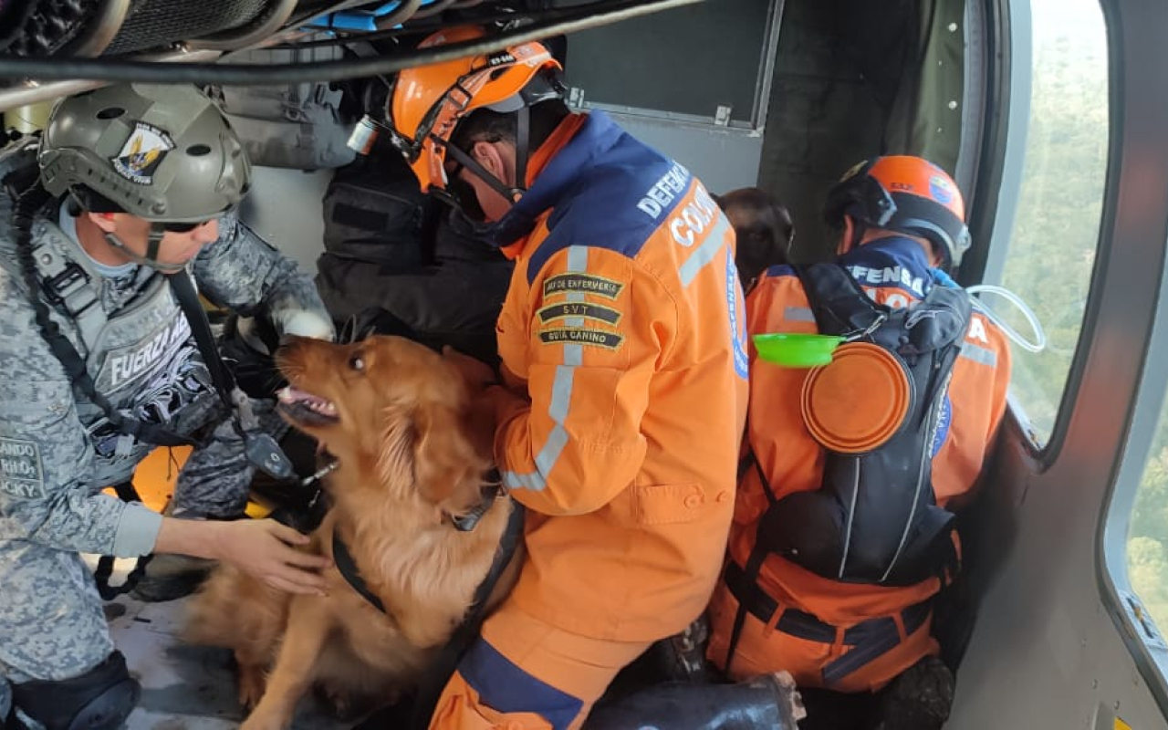 Continúa la 'Operación Esperanza', binomios caninos son ubicados en el área de búsqueda en helicóptero de su Fuerza Aérea