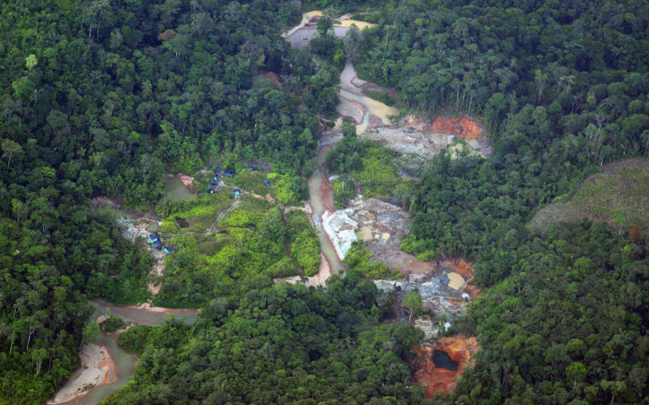 Área afectada por minería ilegal es ubicada por la Fuerza Pública, en Buenaventura