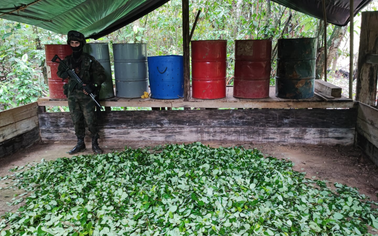 Operaciones contra el narcotráfico, son realizadas por sus  Fuerzas Militares en el suroriente colombiano