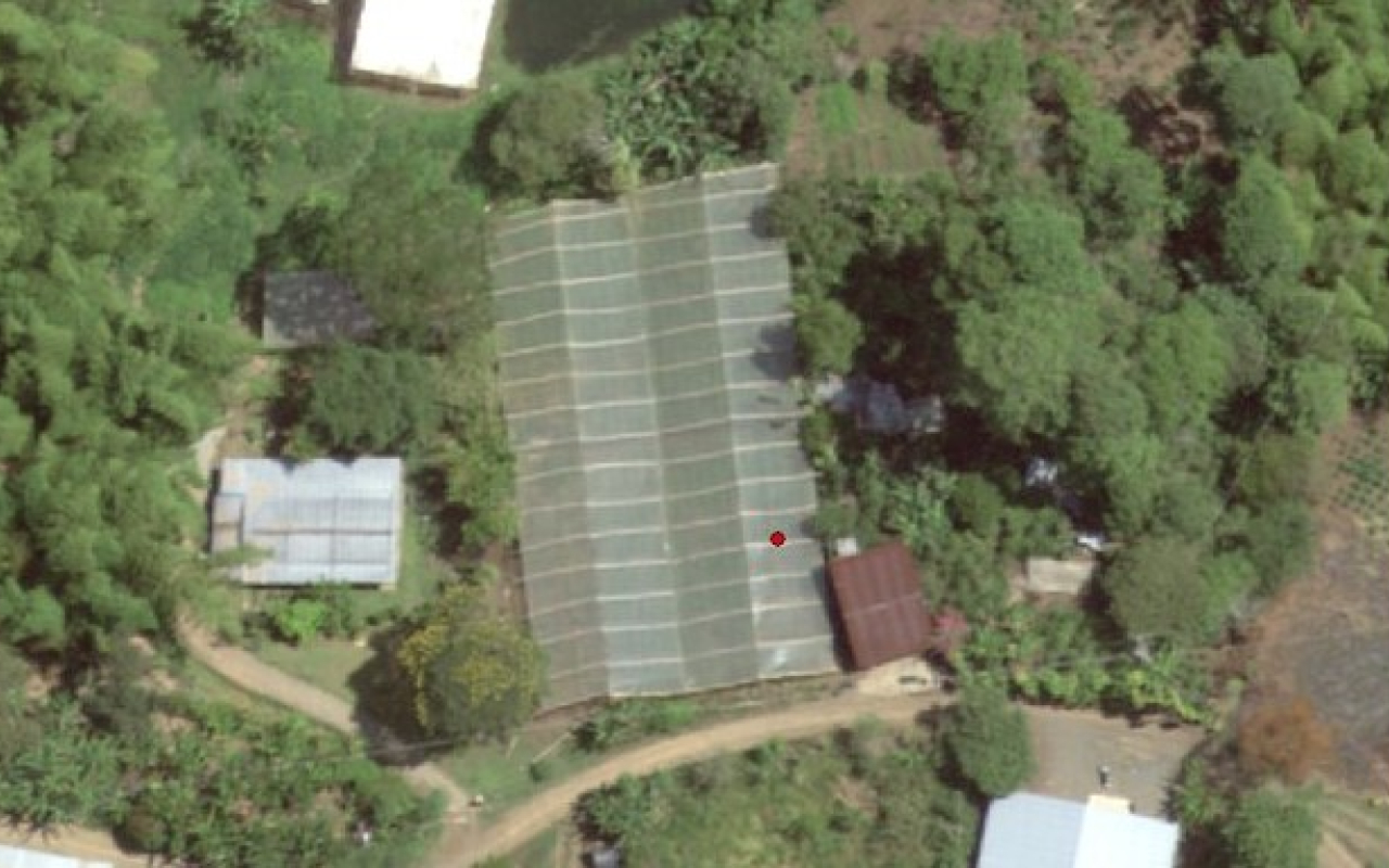 Incautadas más de dos toneladas de marihuana en operación de la Fuerza Pública