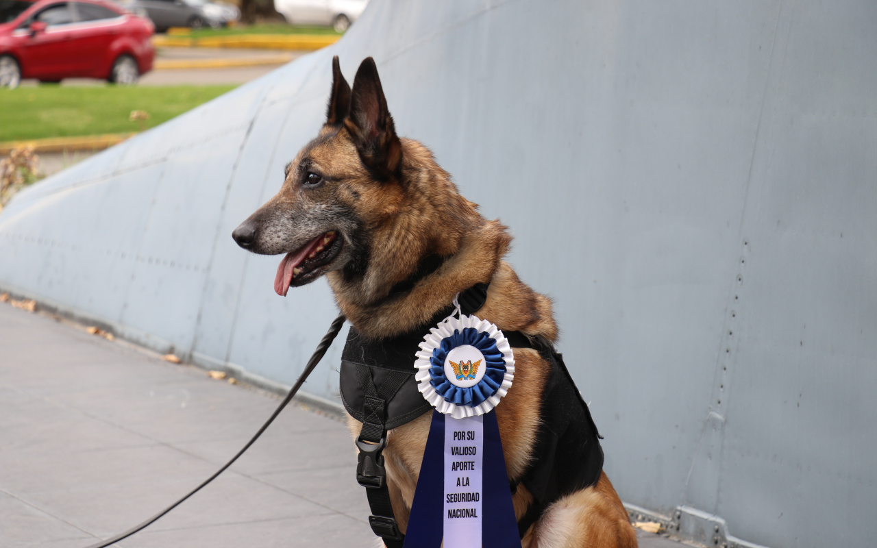 “Lara” canino antiexplosivos se despide con honores de la Fuerza Aérea Colombiana