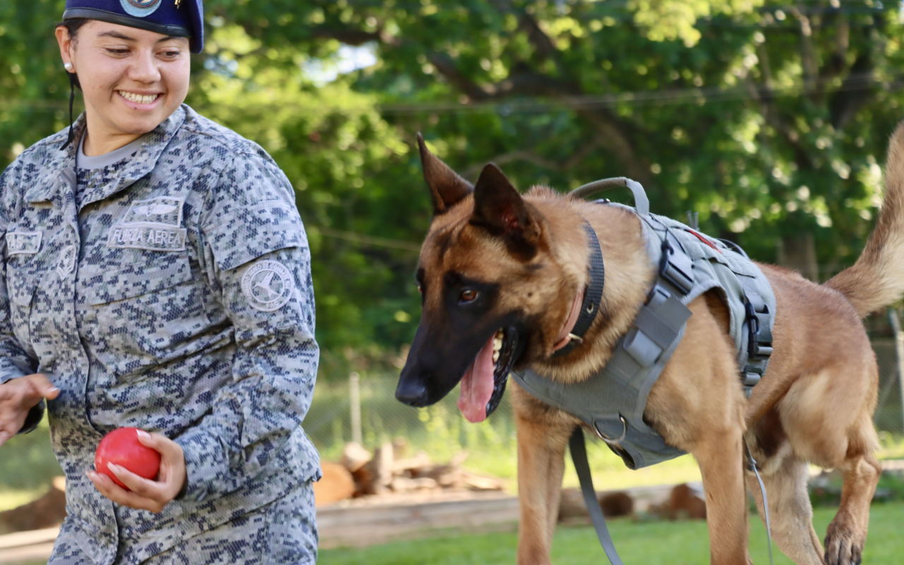 Seguridad y lealtad: la dupla perfecta entre Leif y su guía canino