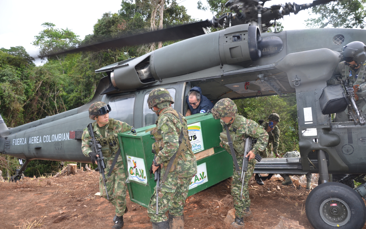 Pumas vuelven a la libertad Fuerza Aérea Colombiana protege la Biodiversidad