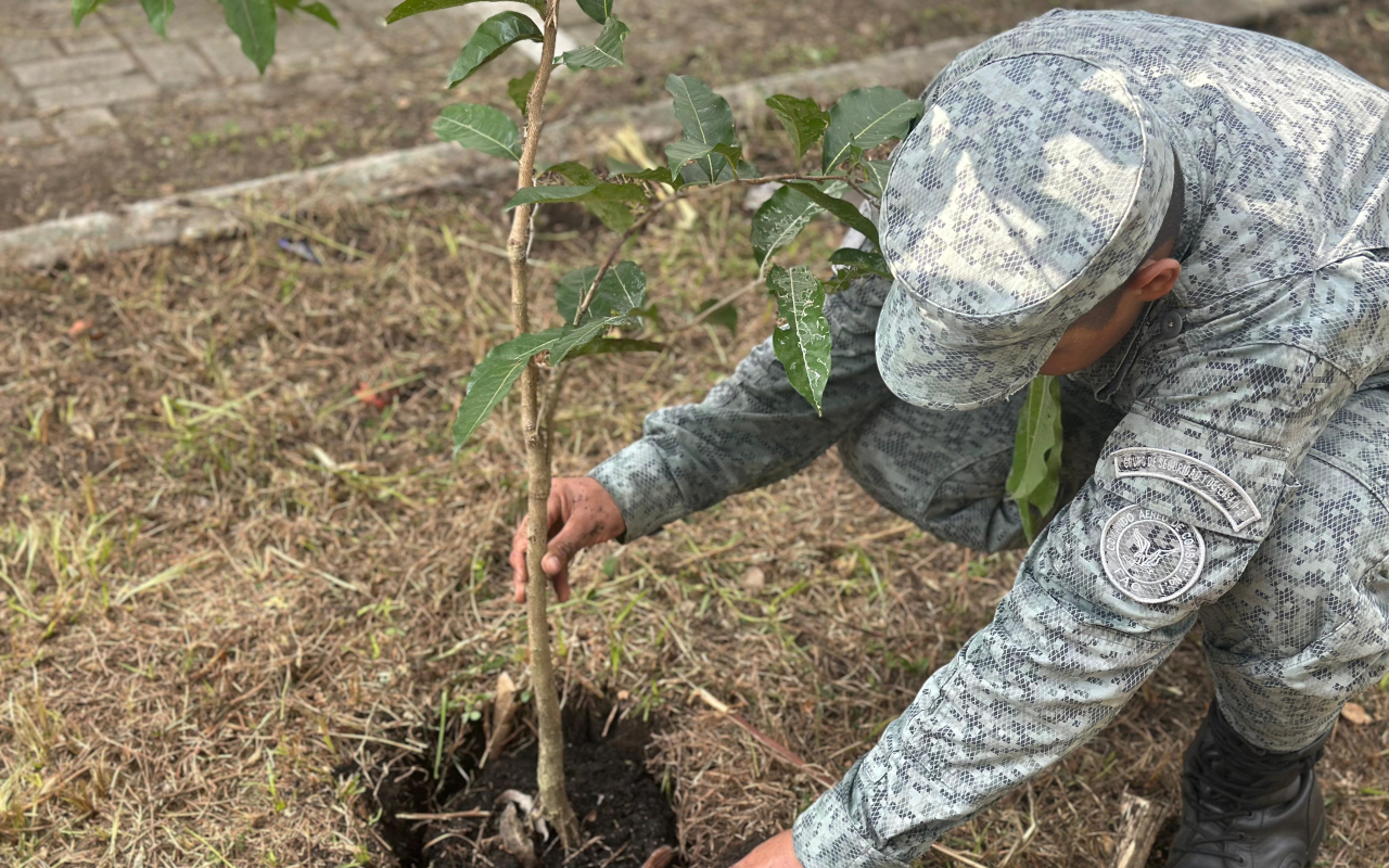 En una jornada satisfactoria de reforestación, distintos sectores del municipio de La Dorada, Caldas, se beneficiaron con la siembra de más de 30 árboles de especies como guayacanes, oití, guayabo rosado y amarillo. La actividad se desarrolló en barrios como La Concordia, Victoria Real, El Japón, Villa Carmenza y Obrero, entre otros, consolidándose como un importante proyecto ambiental, que ha contado con la participación activa de su Fuerza Aeroespacial Colombiana.  La iniciativa ha sido posible también, g