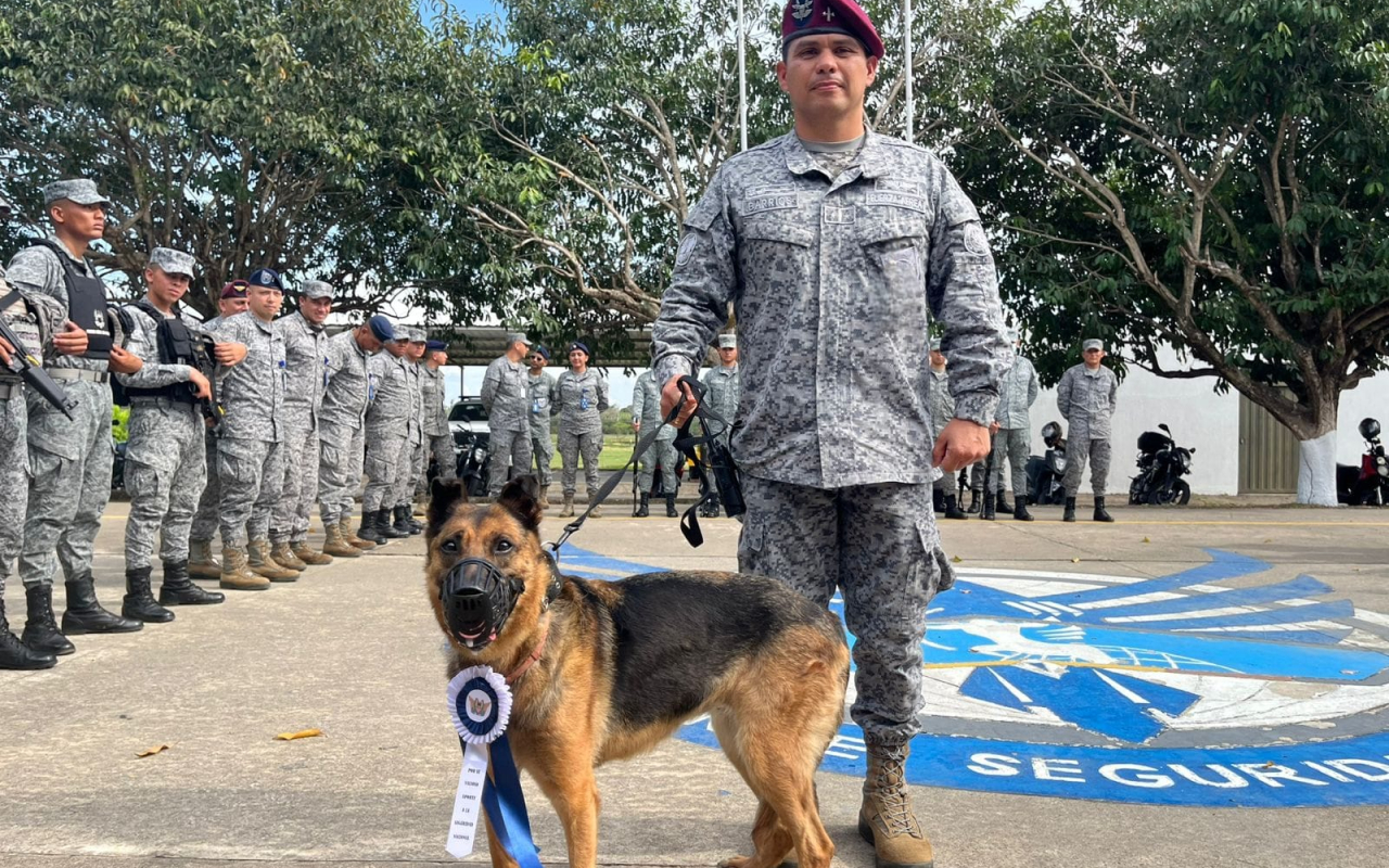 Despedida con honores a “Lola”: canino militar culmina su servicio a la nación