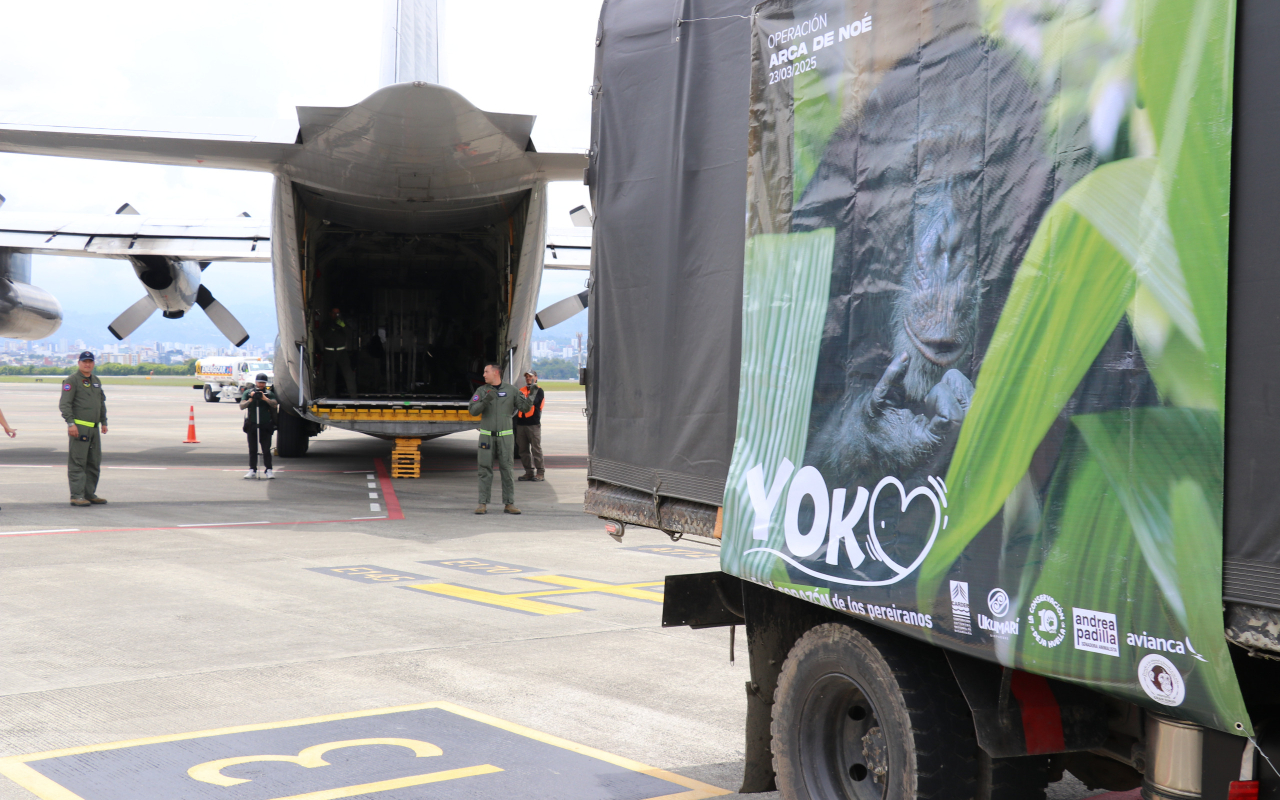 Chimpancé “Yoko” llegó a Bogotá en una aeronave C-130 hércules 