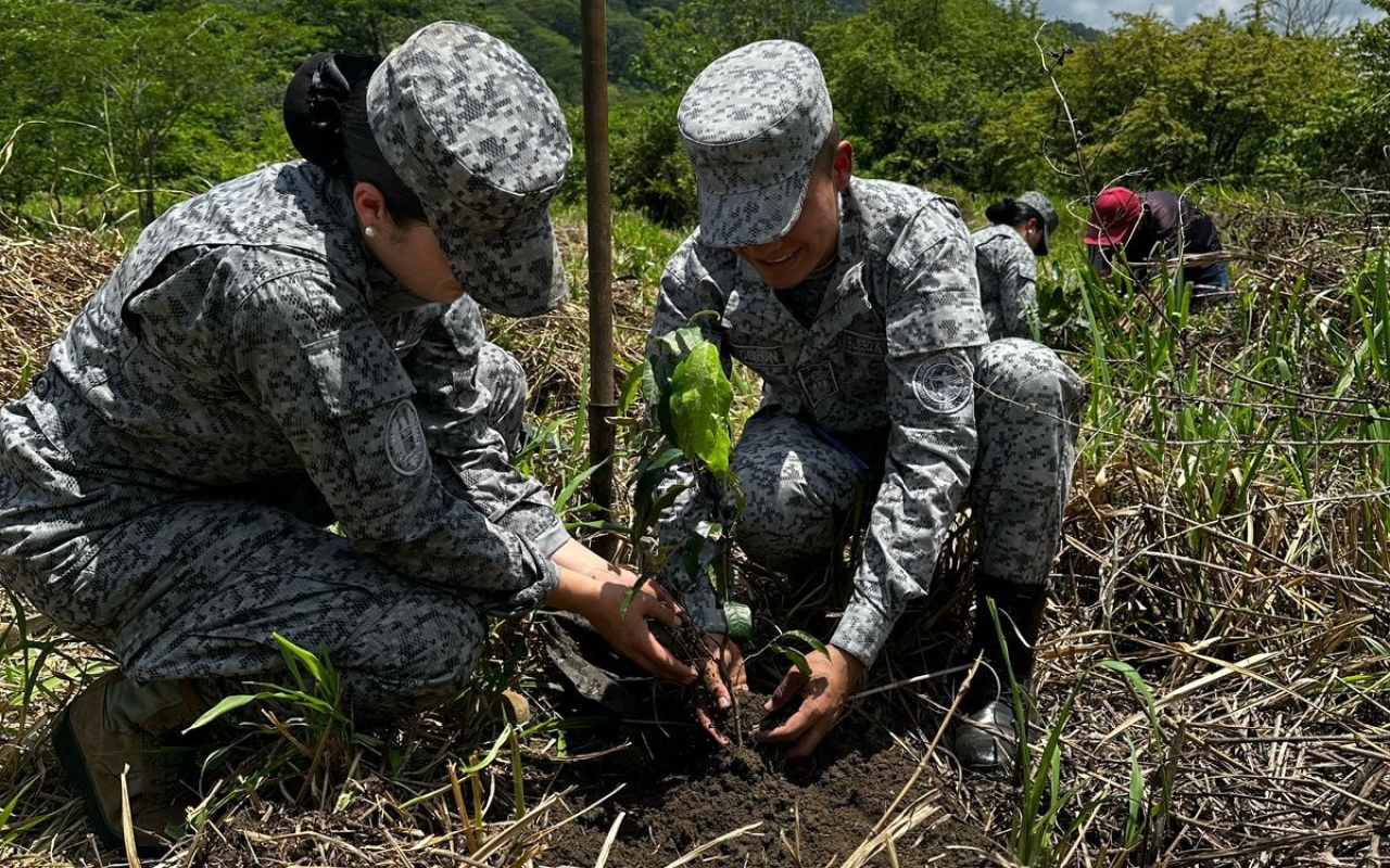 600 árboles para la vida: compromiso ambiental en Yopal
