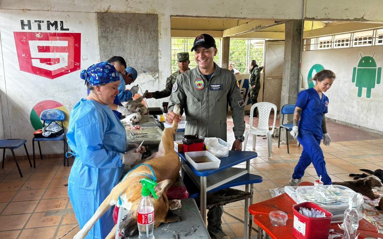 Jornada de esterilización fortalece bienestar animal en Tarapacá