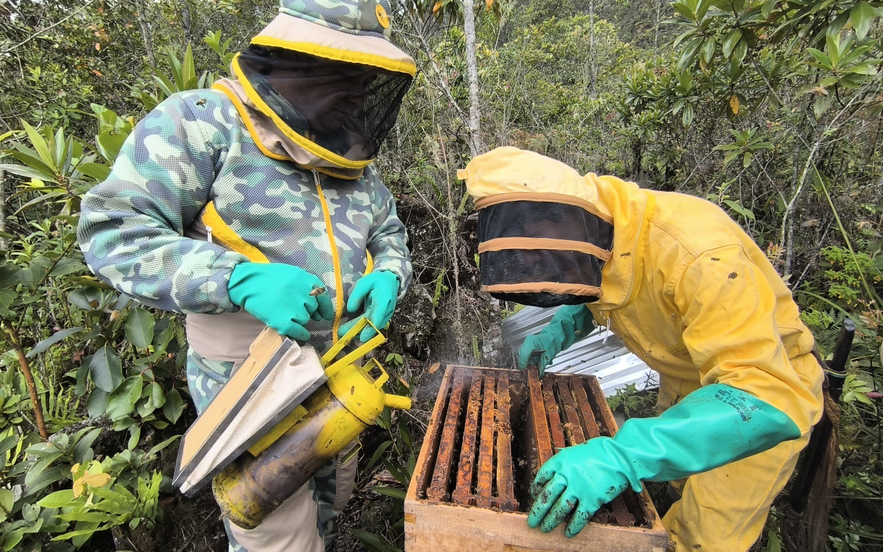 El sabor de las segundas oportunidades florece en Casanare