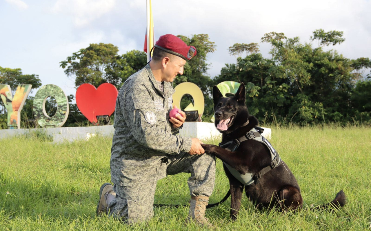  Guías caninos, un equipo estratégico para la seguridad y protección del territorio nacional