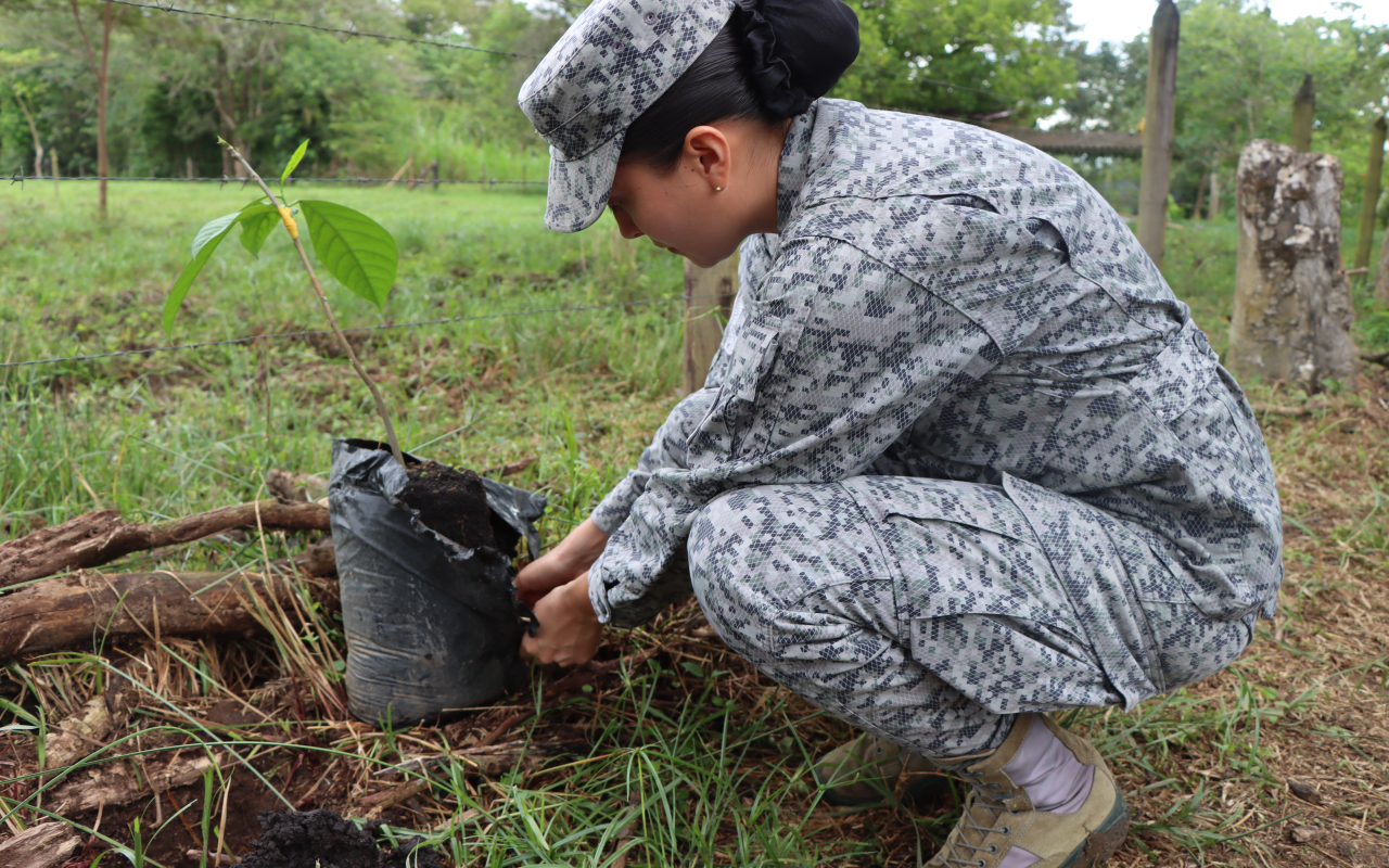 En Villavicencio nos unimos al reto de sembrar 500.000 árboles en un minuto