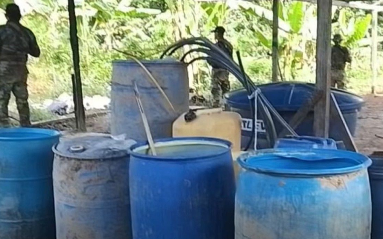 Operación binacional golpea economías ilícitas en el Amazonas