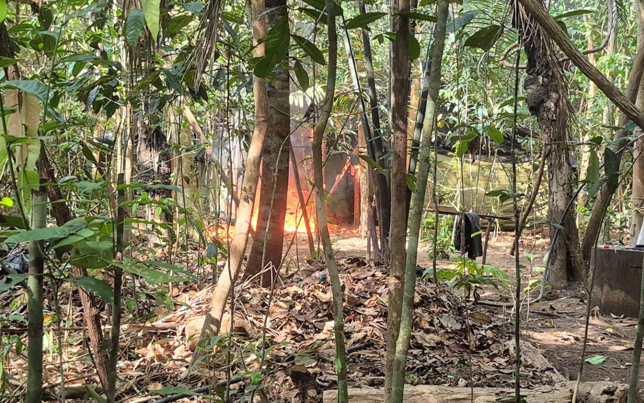 Millonaria afectación a las finanzas del ELN en el Oriente del país