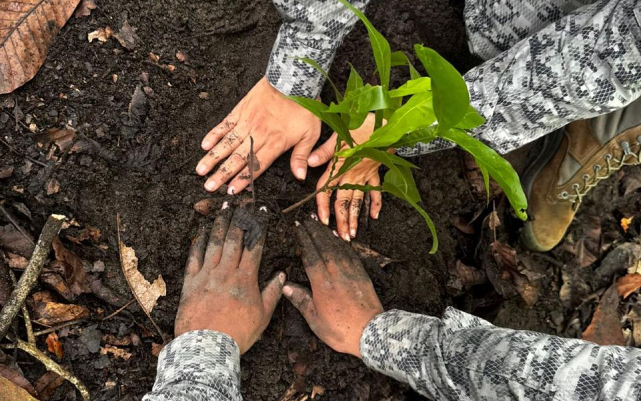 Puerto Salgar, Cundinamarca reverdece con siembra de 200 árboles y compromiso ambiental