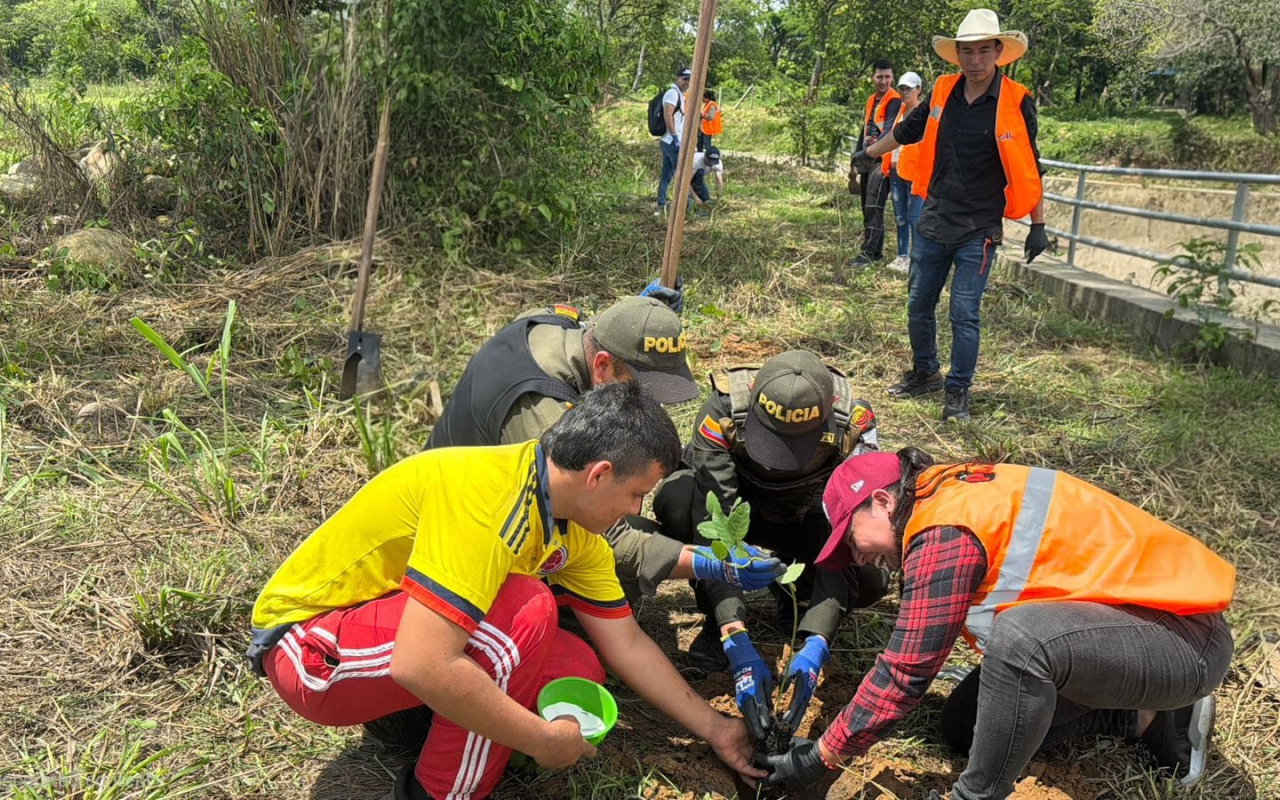 Siembra de 300 árboles fortalece acciones ambientales en Aguazul