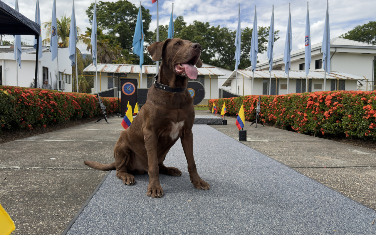 Tres caninos militares culminaron su servicio activo en el Comando Aéreo de Combate No. 4