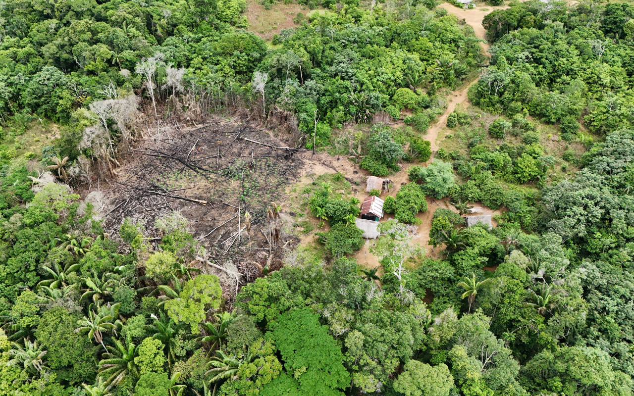 Presuntos delitos ambientales evidenciados en área protegida del Parque Nacional El Tuparro