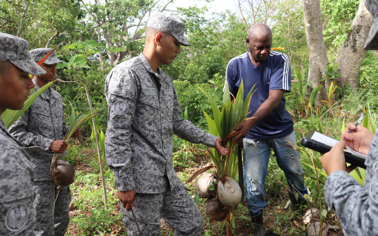 Continúa apoyo a proyecto social productivo cocotero en San Andrés