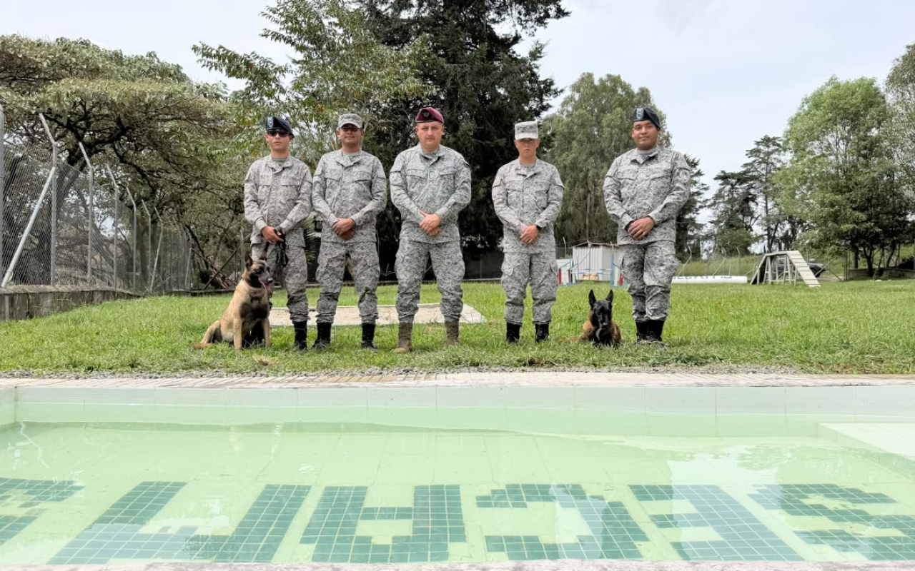 Bienestar integral: El cuidado que fortalece a los caninos militares