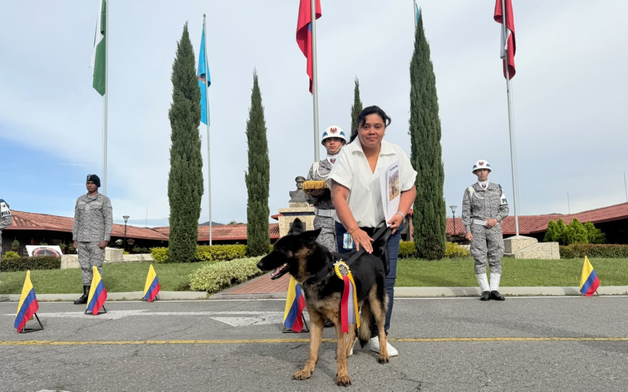Dimatea, heroína de cuatro patas, inicia su retiro tras servir a Colombia