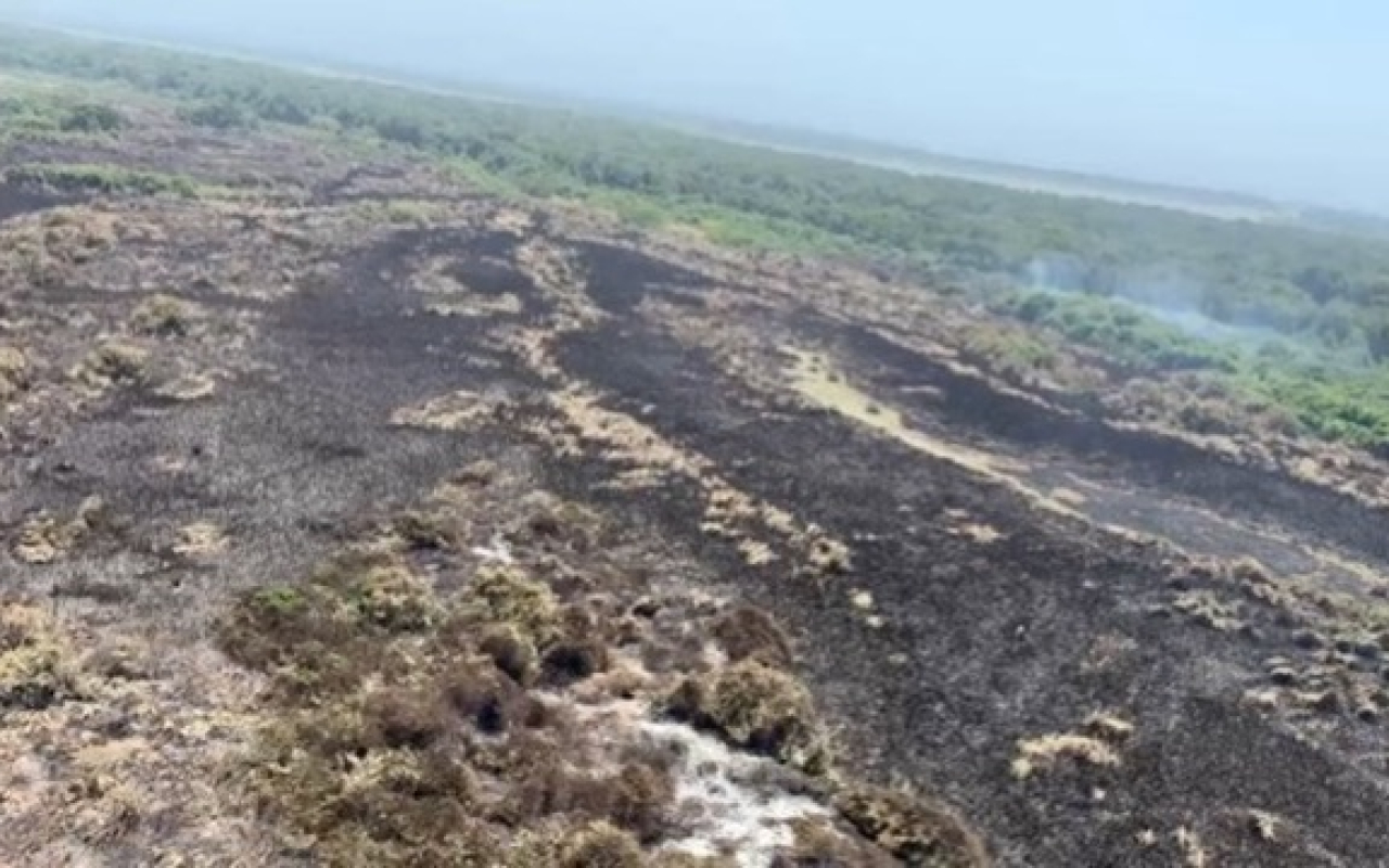Apoyada desde el aire la atención de la emergencia en la Vía Parque Isla Salamanca