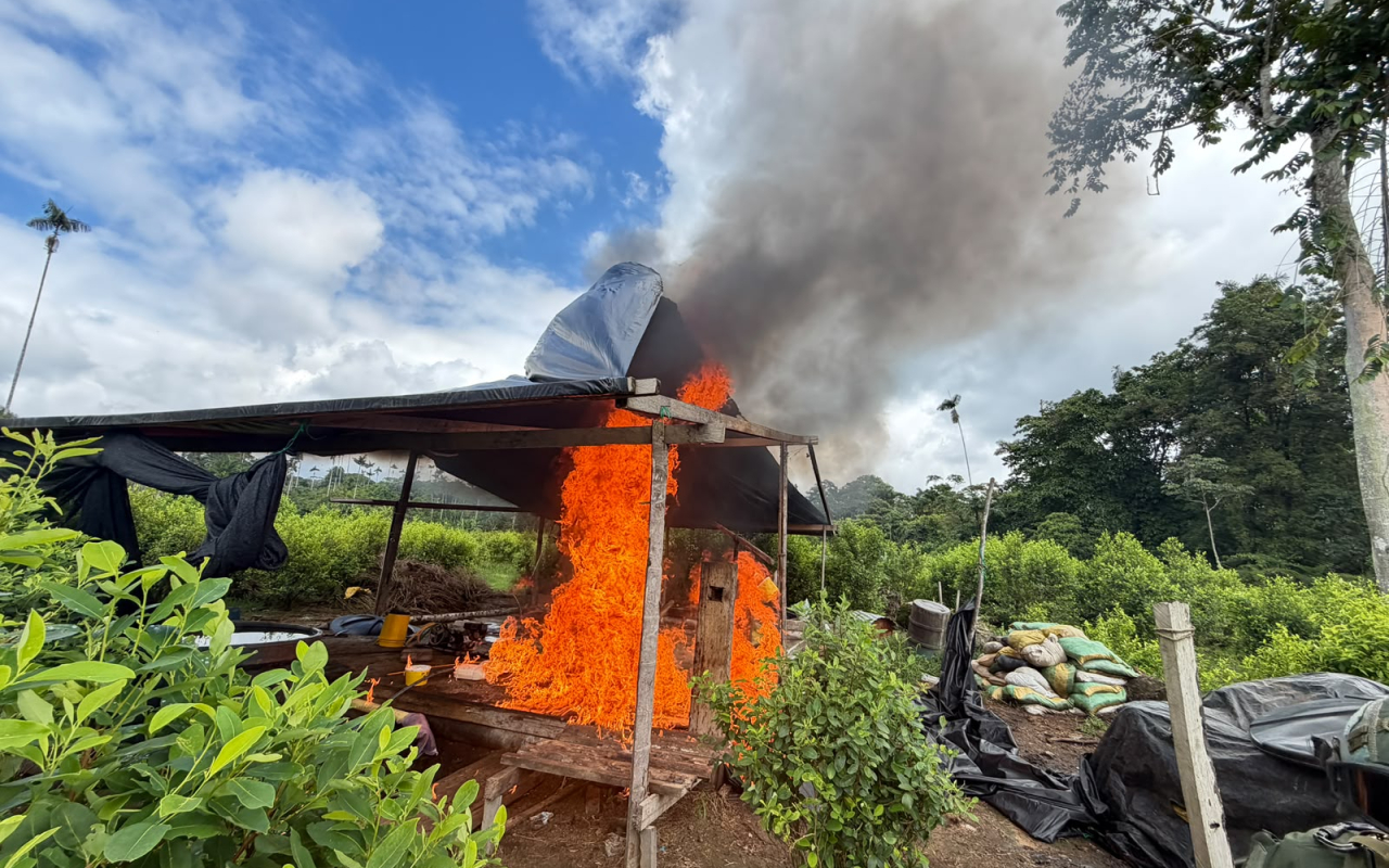 Inhabilitadas 52 infraestructuras clandestinas utilizadas para procesar pasta base de coca en Tumaco, Nariño