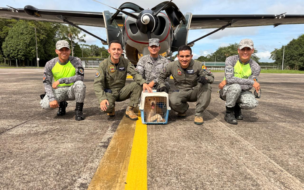 Poder aéreo rescata perrito en condiciones críticas en el Amazonas 