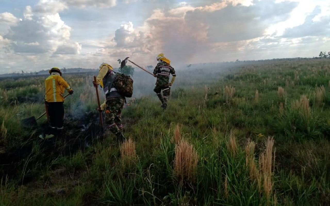 Continúan labores para mitigar incendio en el Parque Nacional Natural El Tuparro