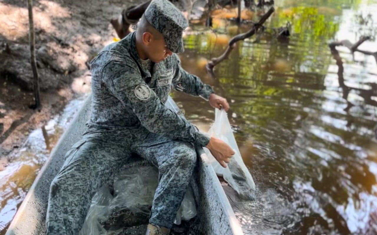 En Cundinamarca, la cuenca alta del Río Magdalena recibió un millón de alevines