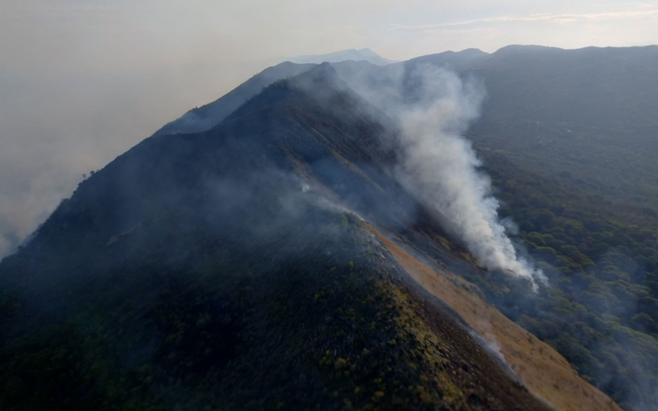 Controlado incendio forestal en Cunday, Tolima