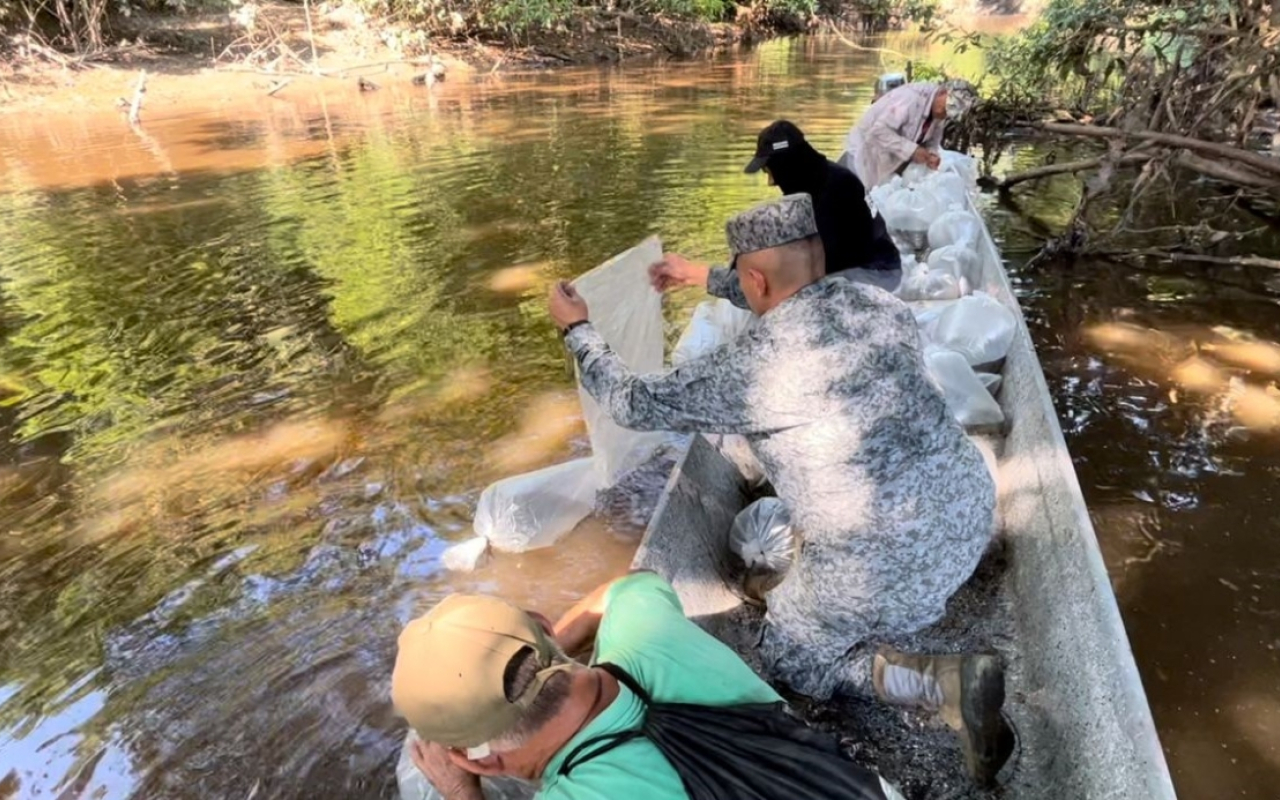 En Cundinamarca, la cuenca alta del Río Magdalena recibió un millón de alevines