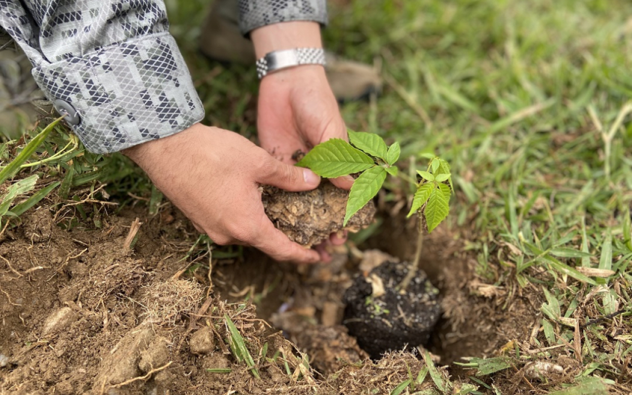 Con la siembra de más de 60 árboles nativos y frutales, CACOM 5 le apuesta a la vida 