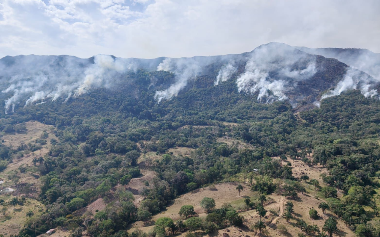 Controlado incendio forestal en Cunday, Tolima