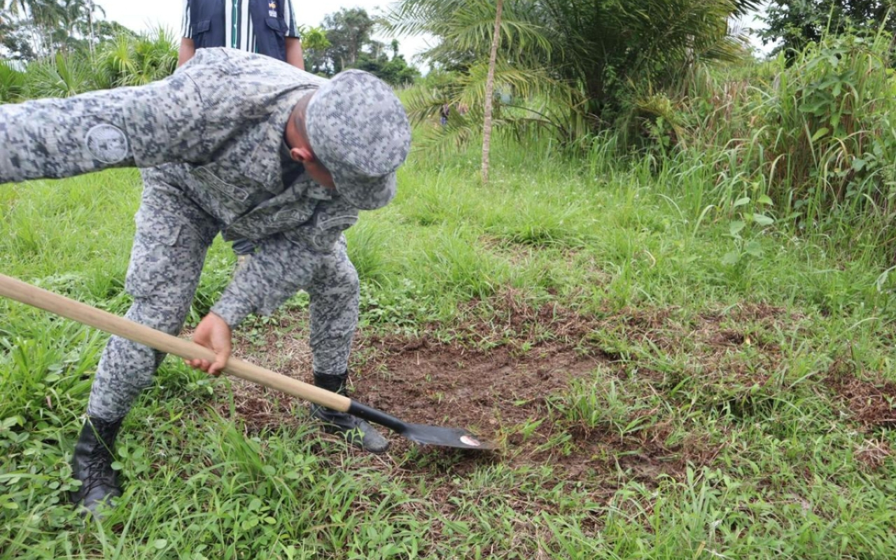 Plántulas nativas de Caquetá fueron sembradas por su Fuerza  Aeroespacial colombiana 