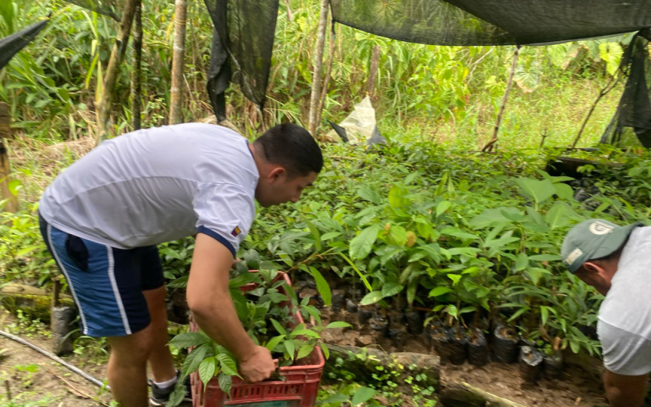 Proyecto productivo sembrará 2000 árboles en el departamento de Caldas, Fuerza Aeroespacial Colombiana lidera la iniciativa 