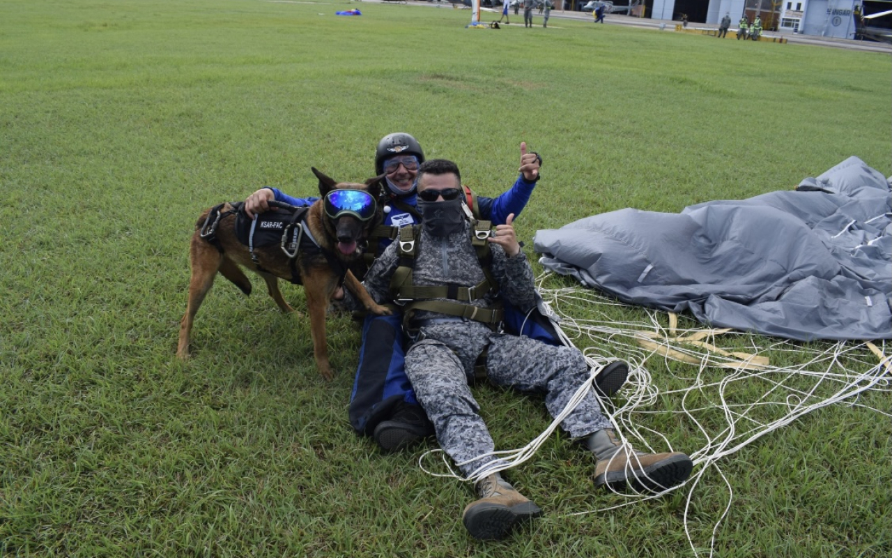 Paracaidismo canino militar 